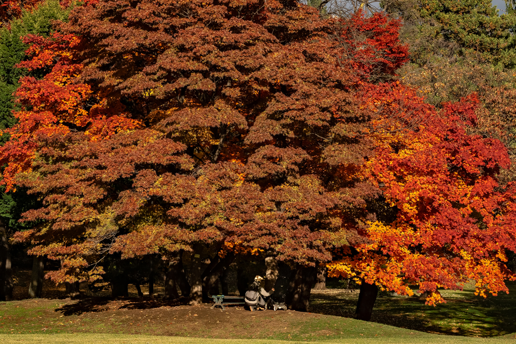 知事公館の親子