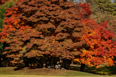 知事公館の親子