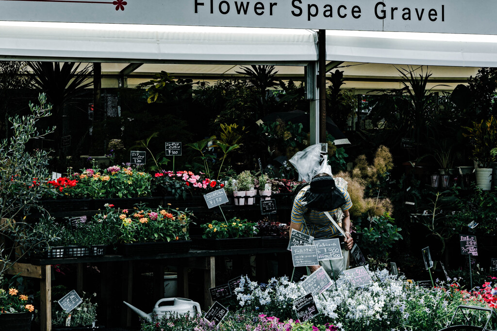公園の花屋