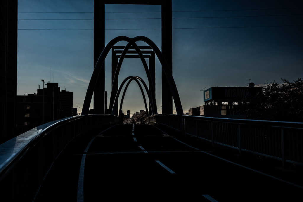 白石こころーどの桜６