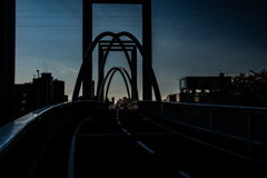 白石こころーどの桜６