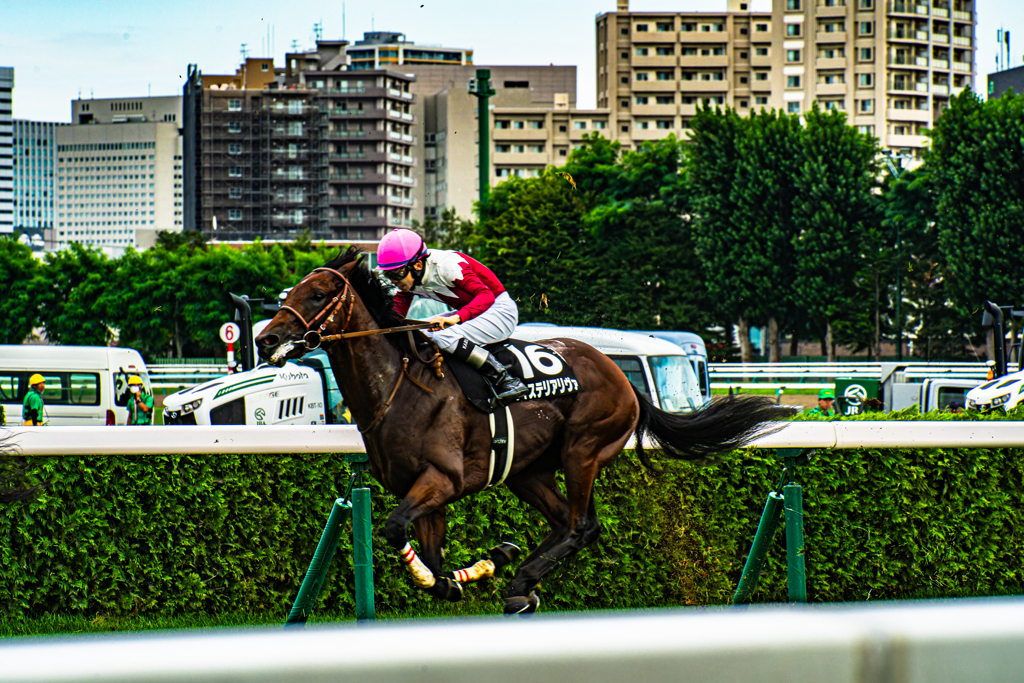 競馬場に行ってきた-6