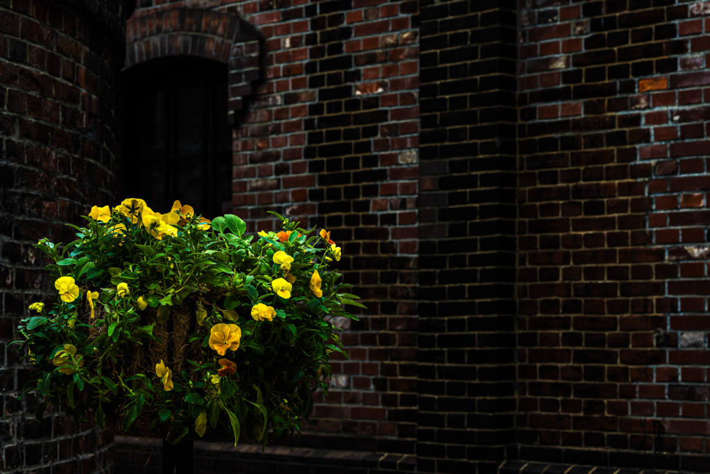 札幌ファクトリー２