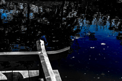 花が散り始める