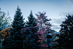 秋のバーンスタイン