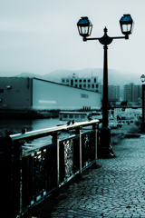 外灯とスズメたち１１１６