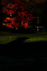 知事公館１１０４１