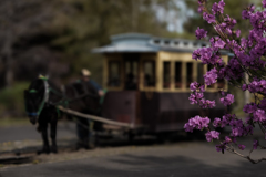 馬車鉄道240504 馬車鉄道240504