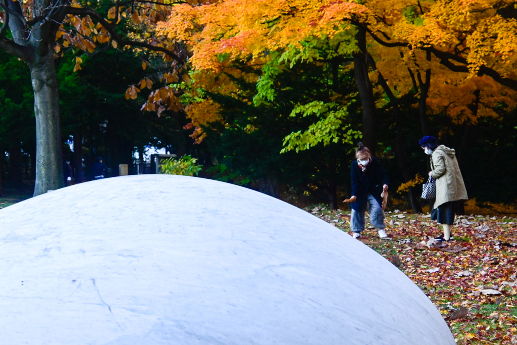 何を拾っているの