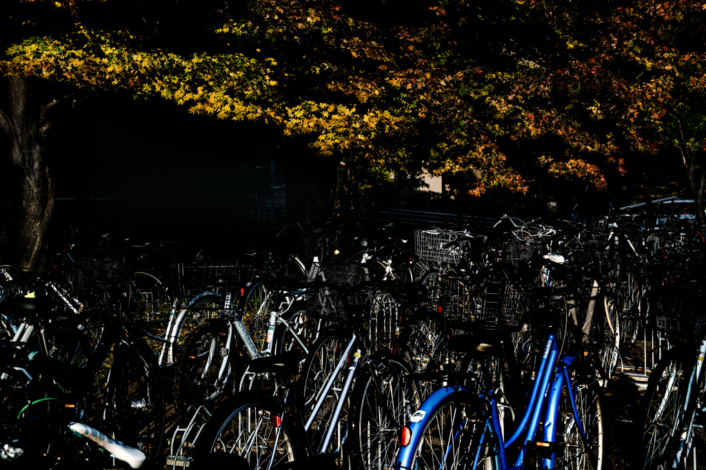 自分の車を見つけられるのはスゴい