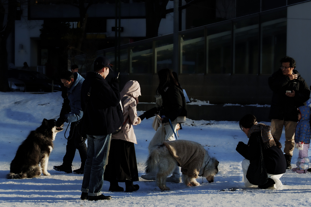 ある日の群像１