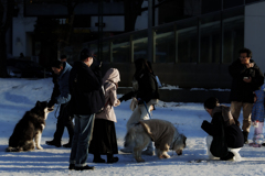 ある日の群像１