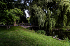 小橋を人が渡っている