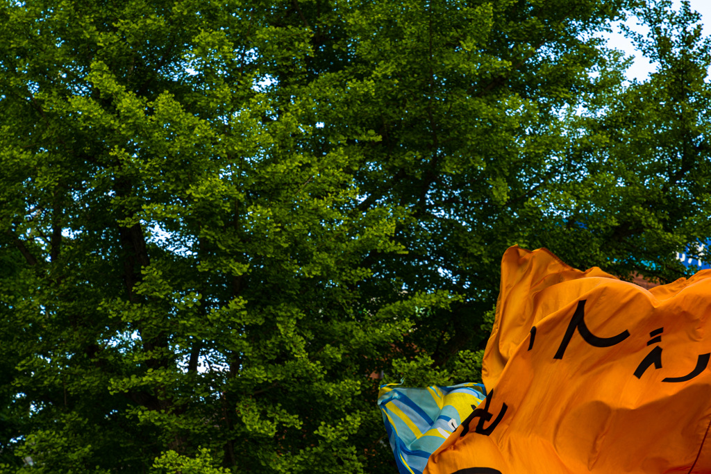 よさこいメイン会場１