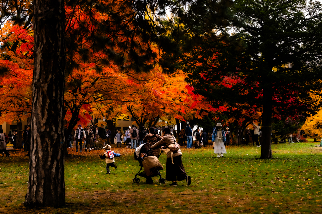 北大の秋８