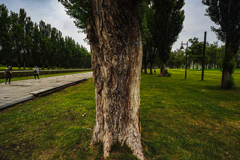 前田森林公園２