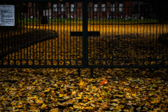 大学構内を出る