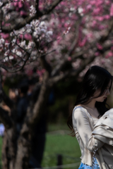 梅は満開だった