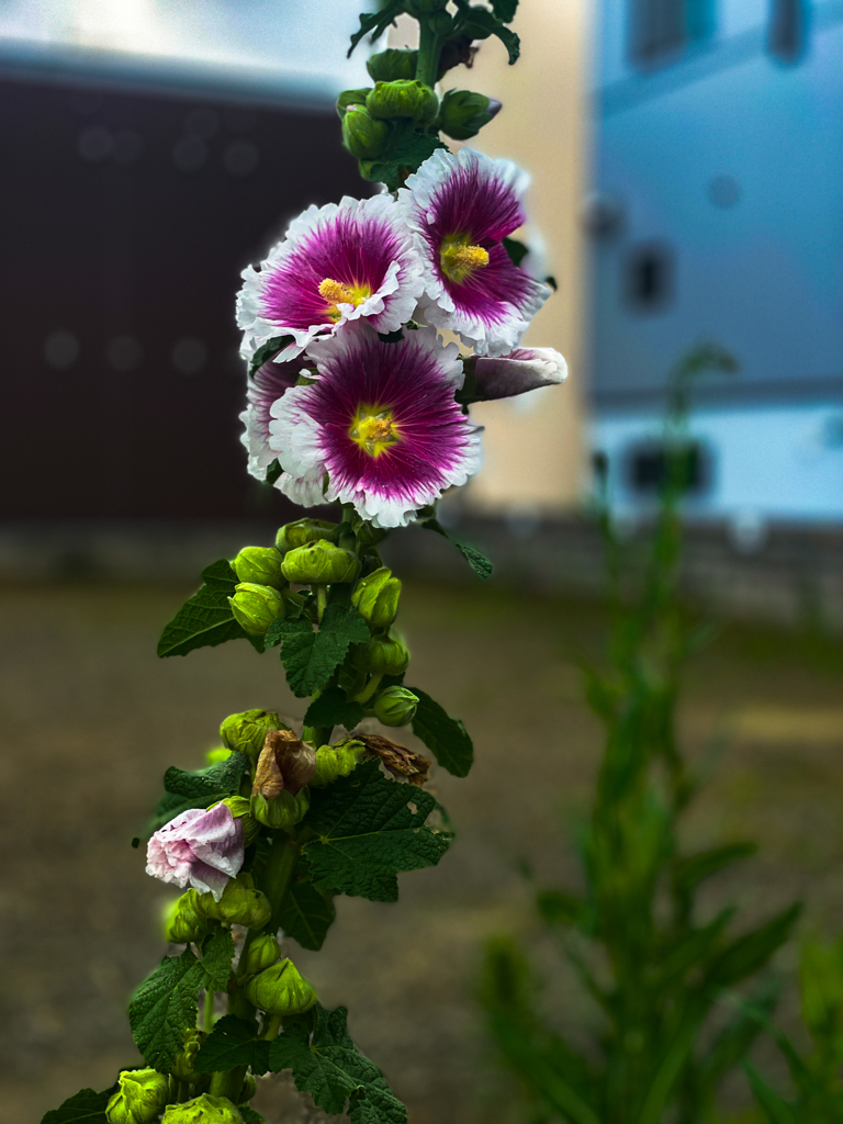 間違えて途中下車