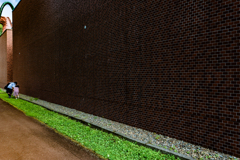 博物館そばで昆虫採集