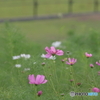 風が強すぎて・・・