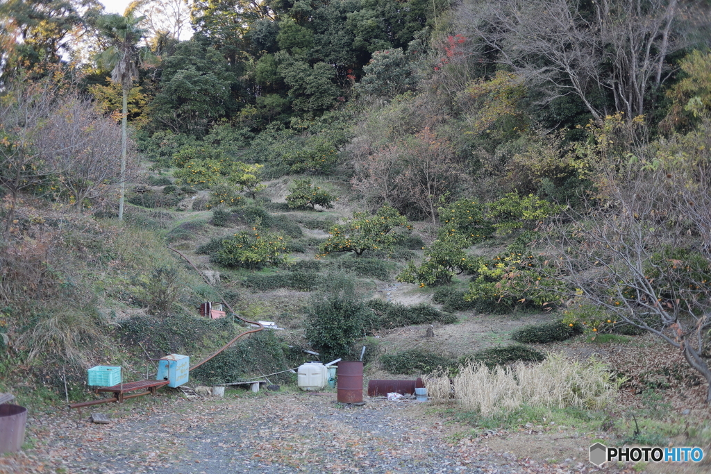 見慣れている風景