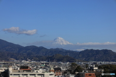 1月16日の富士山