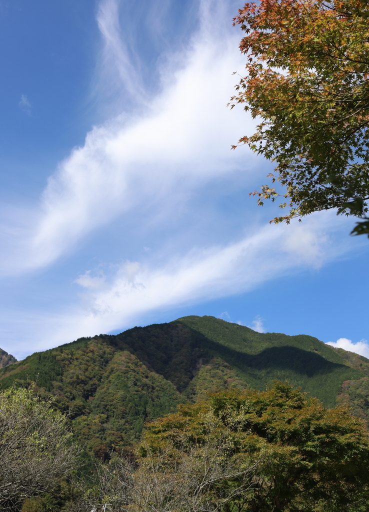 空に（極僅か）近い場所