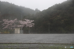 雨の運動場