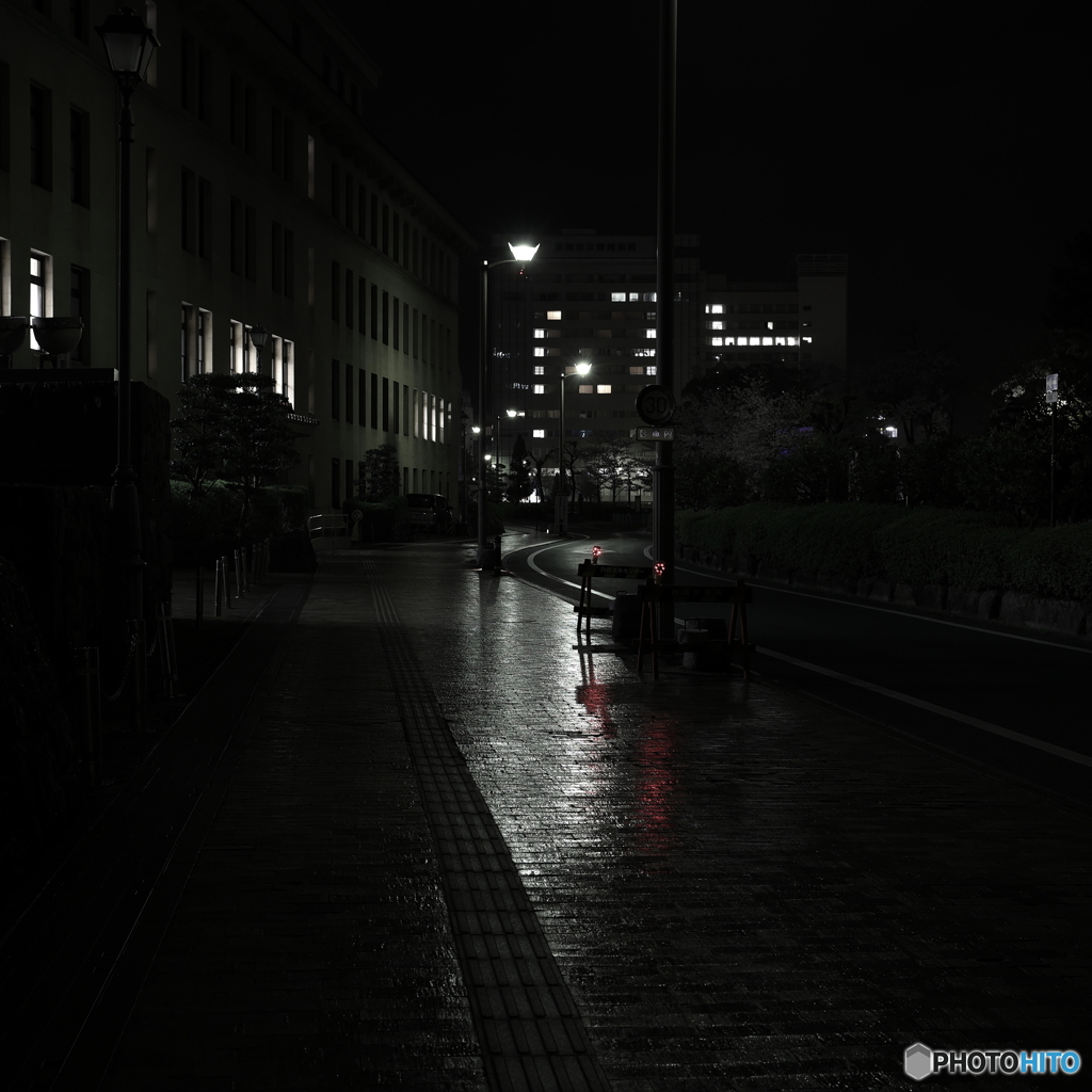雨上がりに夜撮り