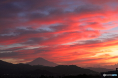 8月11日の富士山