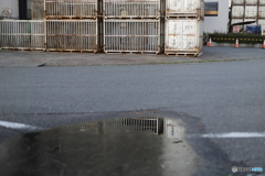 個人的には初氷