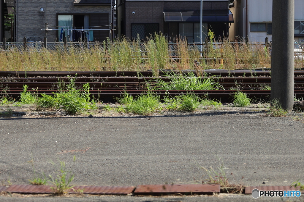 初秋の鉄路