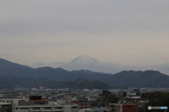 3月28日の富士山