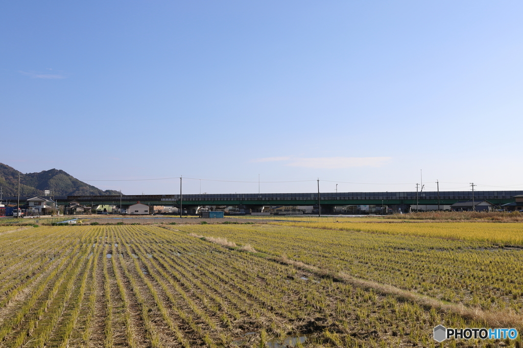 収穫済み（次の春を待つ風景）