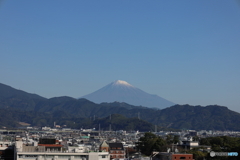 11月15日の富士山