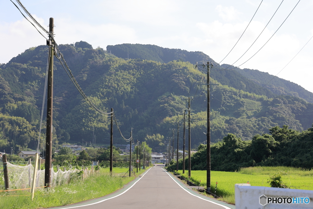 山に向かう道