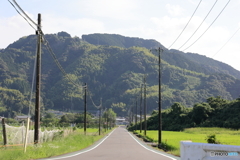 山に向かう道