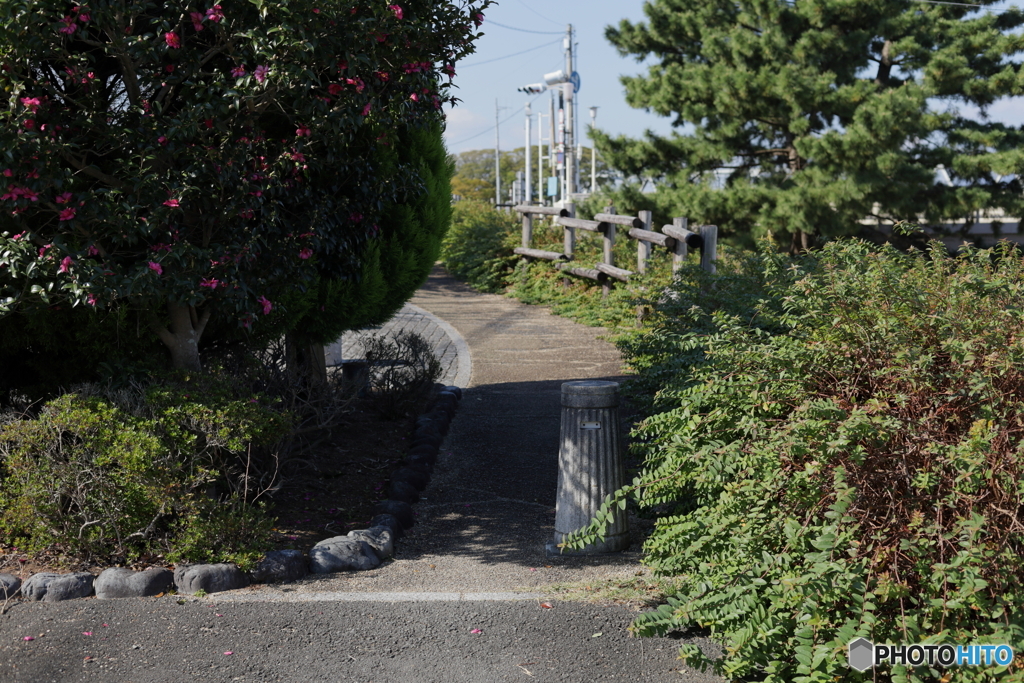 気になる小路