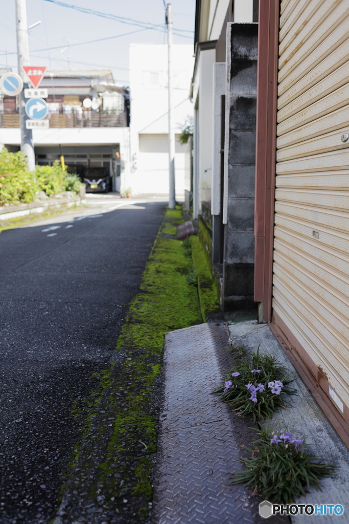 花咲かす場所、間違えてませんか？