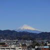 2月21日の富士山