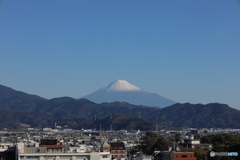 12月4日の富士山