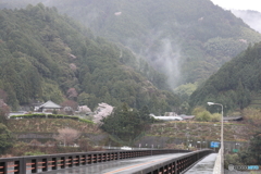 霧、寺、桜、橋