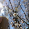 コーヒー牛乳と牛乳瓶④