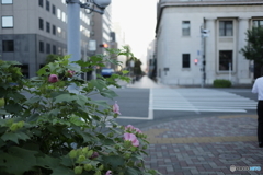 昨年の9月