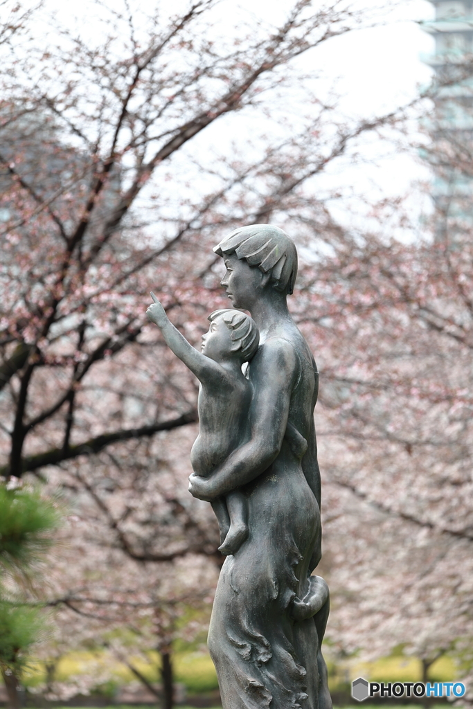 太陽に恵まれず・・・