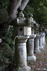 扱いが雑（笑）