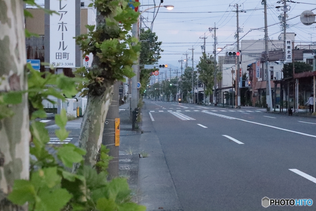 晩夏の朝の一コマ