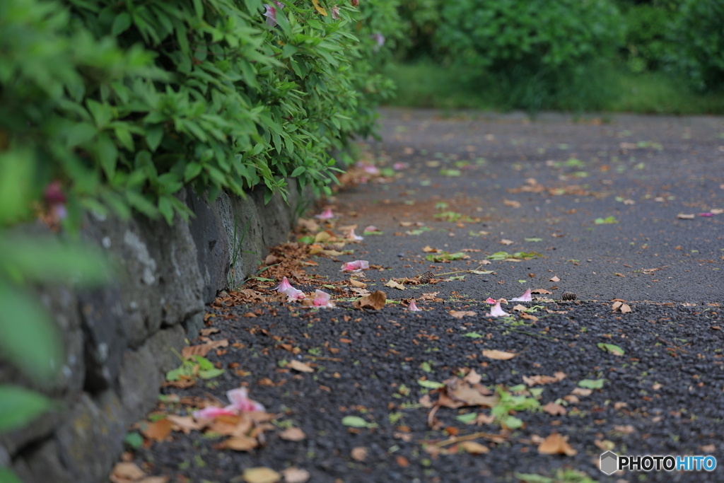 春の嵐のあとで