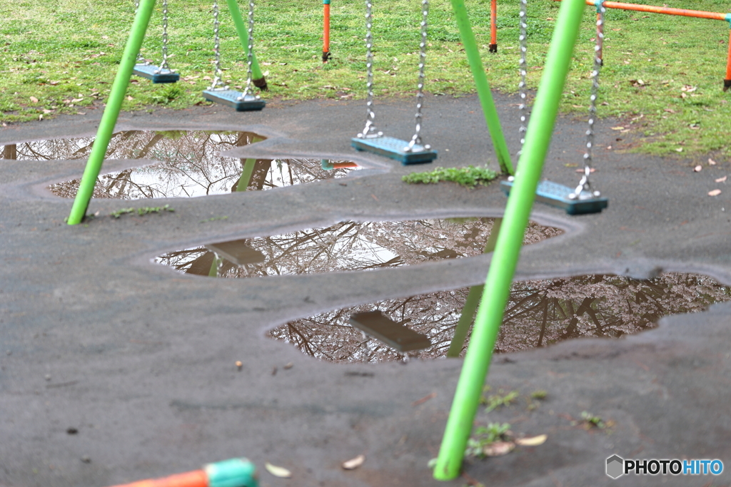 雨上がり②